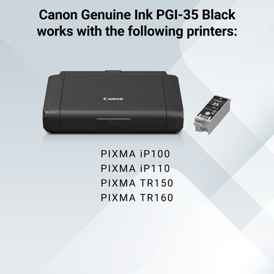 Canon 35 Black Standard Yield Ink Cartridge (1509B002)