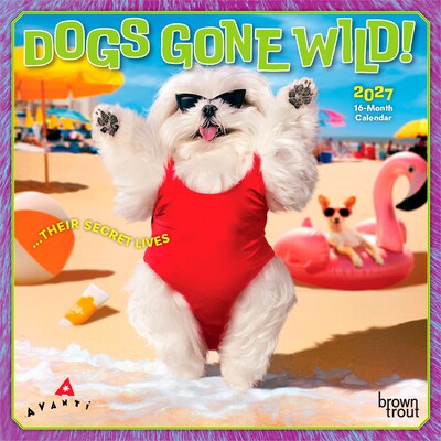 2027 BrownTrout Avanti Dogs Gone Wild 7 x 7 Monthly Wall Calendar, Assorted Colors (9798330712953)