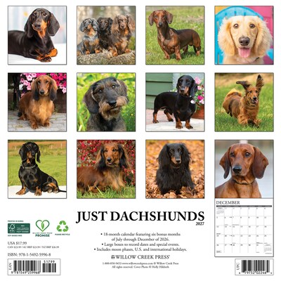 2027 Willow Creek Dachshunds  12 x 12 Monthly Wall Calendar (59968)