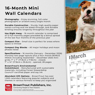 2026 BrownTrout Bulldog Puppies 7" x 7" Monthly Wall Calendar (9798330702657)