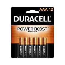 Duracell Coppertop AAA Alkaline Battery, 12/Pack (MN24RT12Z)