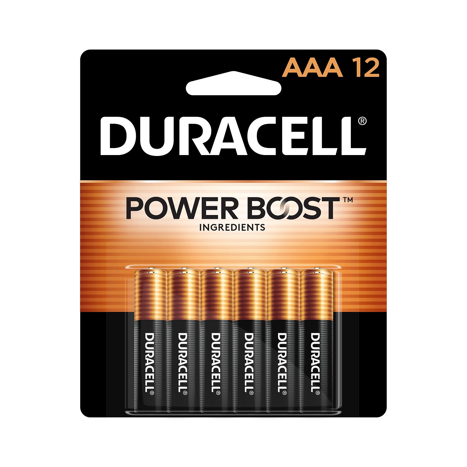 Duracell Coppertop AAA Alkaline Battery, 12/Pack (MN24RT12Z)