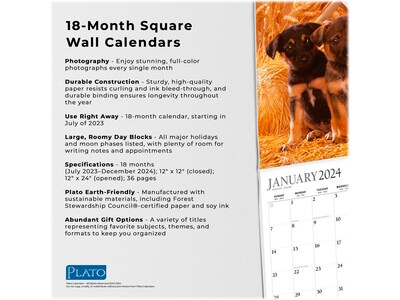2023-2024 Plato Adorable Puppies 12" x 12" Academic & Calendar Monthly Wall Calendar (9781975467203)