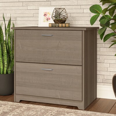 Bush Furniture Cabot 2-Drawer Lateral File Cabinet, Letter/Legal, Ash Gray, 31" (WC31280)