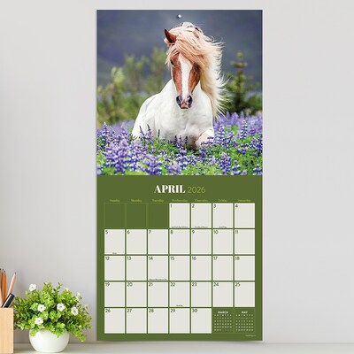 2026 TF Publishing Horses 12" x 12" Monthly Wall Calendar (26-1012)