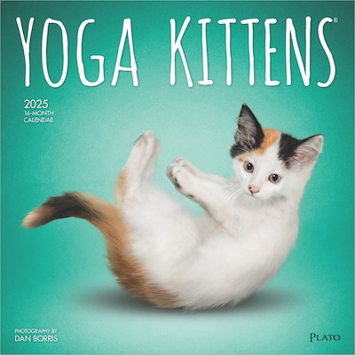 2025 Plato Yoga Kittens 12 x 12 Monthly  Wall Calendar (9781975480134)