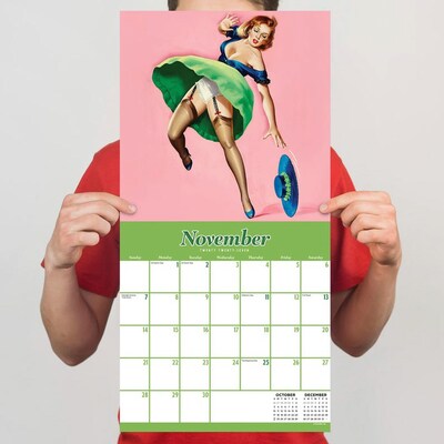 2027 TF Publishing PinUps 12" x 12" Monthly Wall Calendar, Multicolored (27-1119)
