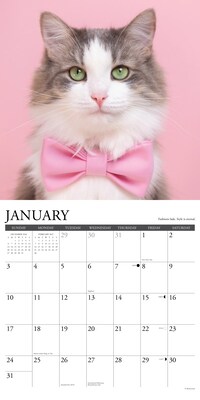 2027 Willow Creek 12" x 12" Monthly Wall Calendar, Assorted Colors (62883)
