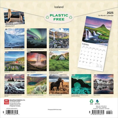2025 BrownTrout Iceland 12 x 12 Monthly  Wall Calendar (9781975476175)