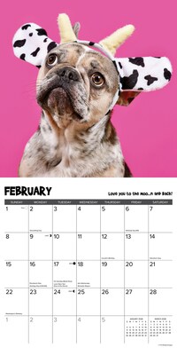 2026 Willow Creek Pardon My Frenchie 12" x 12" Monthly Wall Calendar (52310)