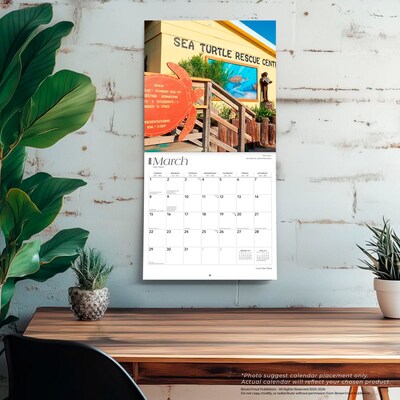 2026 BrownTrout Lone Star State Texas Places 12" x 12" Monthly Wall Calendar (9798330705818)