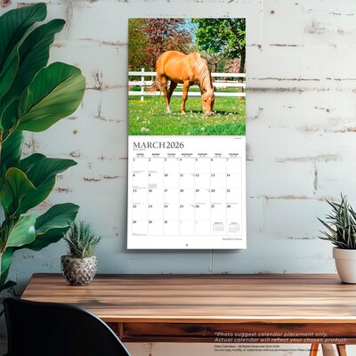 2026 Plato Magnificent Horses 12" x 12" Monthly Wall Calendar (9798330706846)