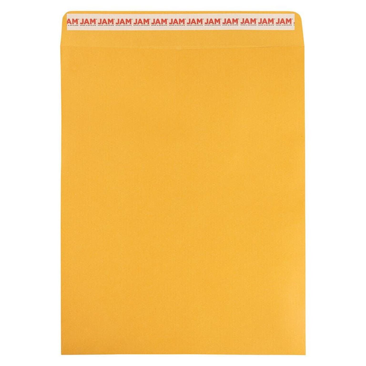JAM Paper Self Seal Catalog Envelope, 11 1/2 x 14 1/2, Brown Kraft Manila, 100/Pack (13034235D)