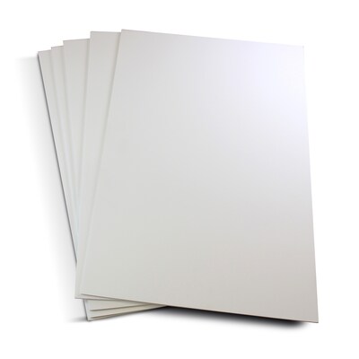 Flipside Foam Board, 18 x 24, White, 5/Carton (FLP182405)