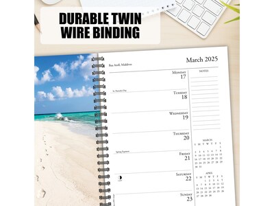 2025 Willow Creek Ah, the Beach! 6.5" x 8.5" Weekly Planner, Paper Cover, Multicolor (46050)