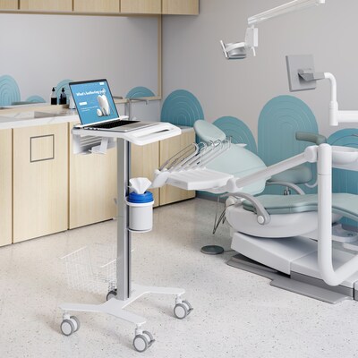 Mount-It! MedHub Mobile Medical Cart with Laptop Bar, Storage Accessories, and Locking Caster Wheels, White/Grey (MI-16029)