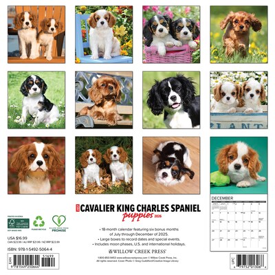 2026 Willow Creek Cavalier King Charles Spaniel Puppies 12 x 12 Monthly Wall Calendar (50644)