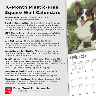 2025 BrownTrout Welsh Corgis 12" x 12" Monthly Wall Calendar (9781975477950)