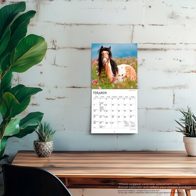 2027 BrownTrout Horse Lovers 7" x 7" Monthly Wall Calendar (9798330709823)