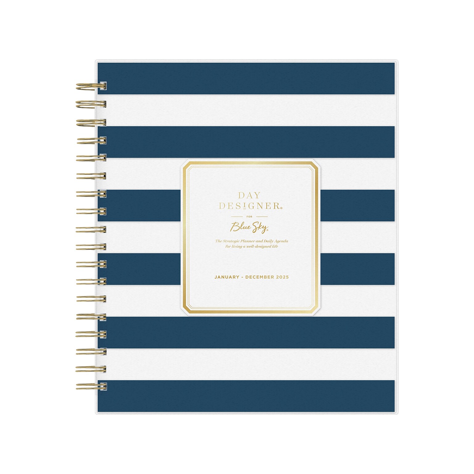 2025 Blue Sky Day Designer Rugby Stripe 8" x 10" Daily & Monthly