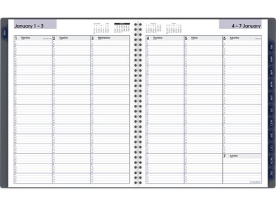 2024 AT-A-GLANCE DayMinder 8.5" x 11" Weekly & Monthly Appointment Book Planner, Poly Cover, Gray (GC520-07-24)