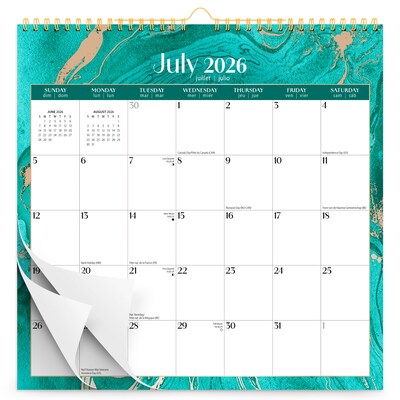 2026-2027 Plato Crackled Blush 12 x 12 Academic Monthly Wall Calendar (9798330708222)