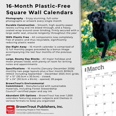 2026 BrownTrout Black Labrador Retrievers 12" x 12" Monthly Wall Calendar (9798330704248)