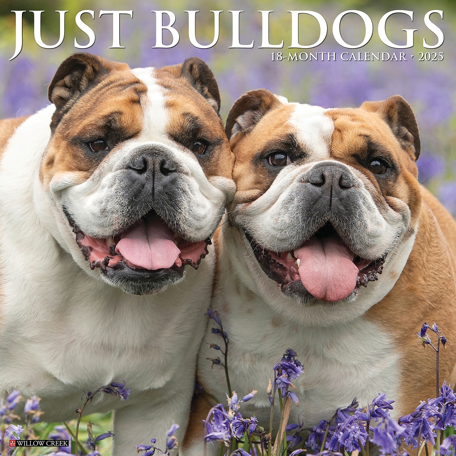 2025 Willow Creek Just Bulldogs 12 x 12 Monthly Wall Calendar (42038)