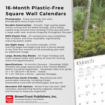 2025 BrownTrout Montana Wild & Scenic 12" x 12" Monthly  Wall Calendar (9781975475314)