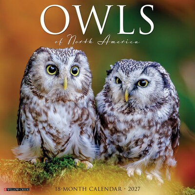 2027 Willow Creek Owls 12 x 12 Monthly Wall Calendar (61664)