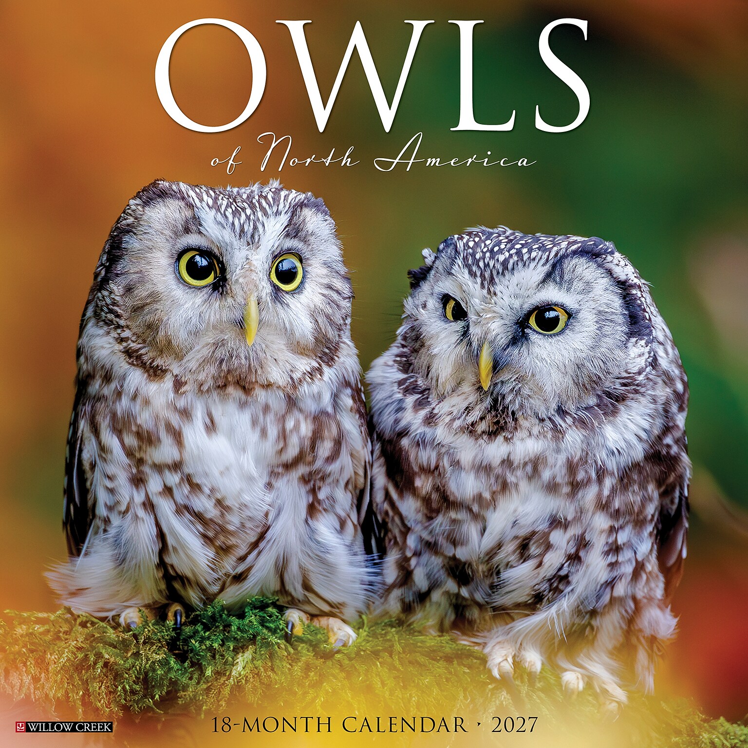 2027 Willow Creek Owls 12 x 12 Monthly Wall Calendar (61664)