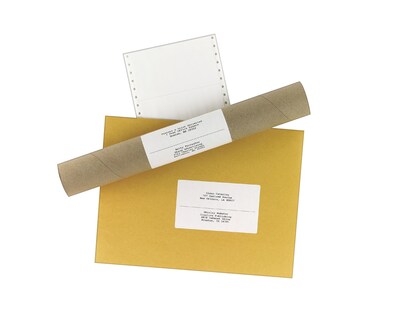 Avery Computer Labels, Dot Matrix Labels and Pin-Feed Labels, 2-15/16 x 5, White, 3,000 Labels/Pac