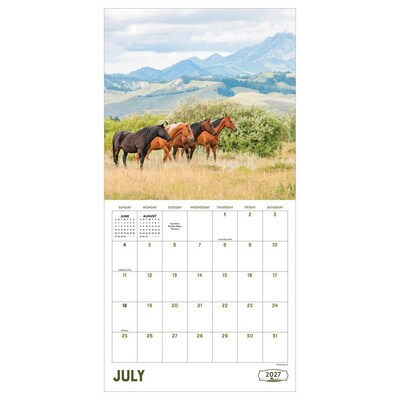 2027 TF Publishing Ranch Life 12" x 12" Monthly Wall Calendar, Multicolored (27-1042)