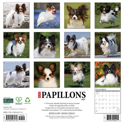 2027 Willow Creek Papillons 12 x 12 Monthly Wall Calendar, Assorted Colors (61718)