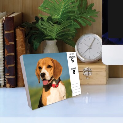 2025 Willow Creek Beagles 6" x 5.5" Day-to-Day Calendar (40652)