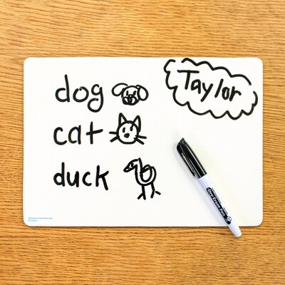 Teacher Created Resources Double-Sided Premium Blank Dry Erase Boards, 10/Pack (TCR77891)