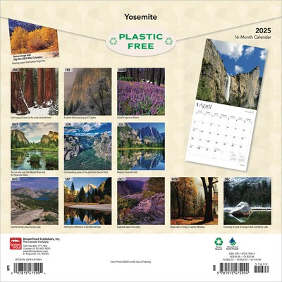 2025 BrownTrout Yosemite 12 x 24 Monthly Square Wall Calendar, (9781975475994)