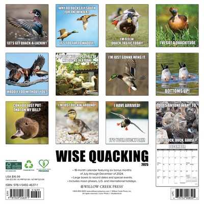 2025 Willow Creek Wise Quacking 12 x 12 Yearly Wall Calendar (46371)
