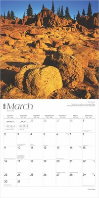 2025 BrownTrout Cascades 12" x 12" Monthly Wall Calendar (9781975474607)