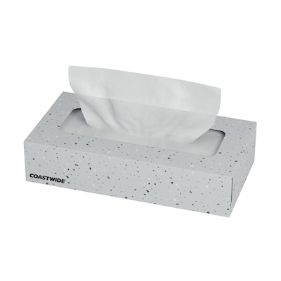 Coastwide Professional Recycled Facial Tissue, 2-Ply, 100 Sheets/Box, 30 Boxes/Carton