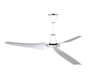 TPI E-CF Series 60 Ceiling Fan, White (08198402)