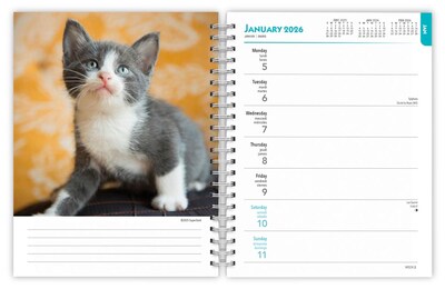 2026 BrownTrout Kittens 6.5" x 7.75" Weekly Planner (9798330704125)