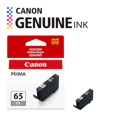 Canon 65 GY Gray Standard Yield Ink Cartridge (4219C002)