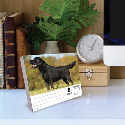 2026 Willow Creek Just Labs 6.2" x 5.4" Day-to-Day Calendar (54277)