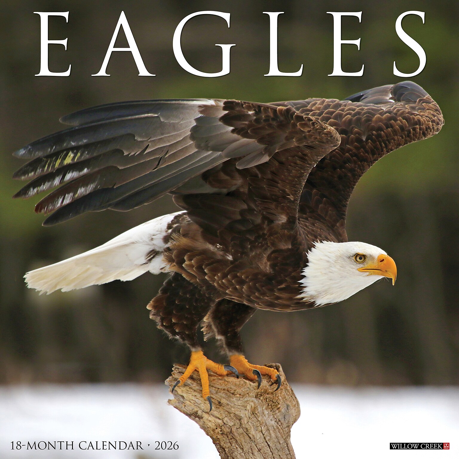 2026 Willow Creek Eagles 12 x 12 Monthly Wall Calendar (51030)