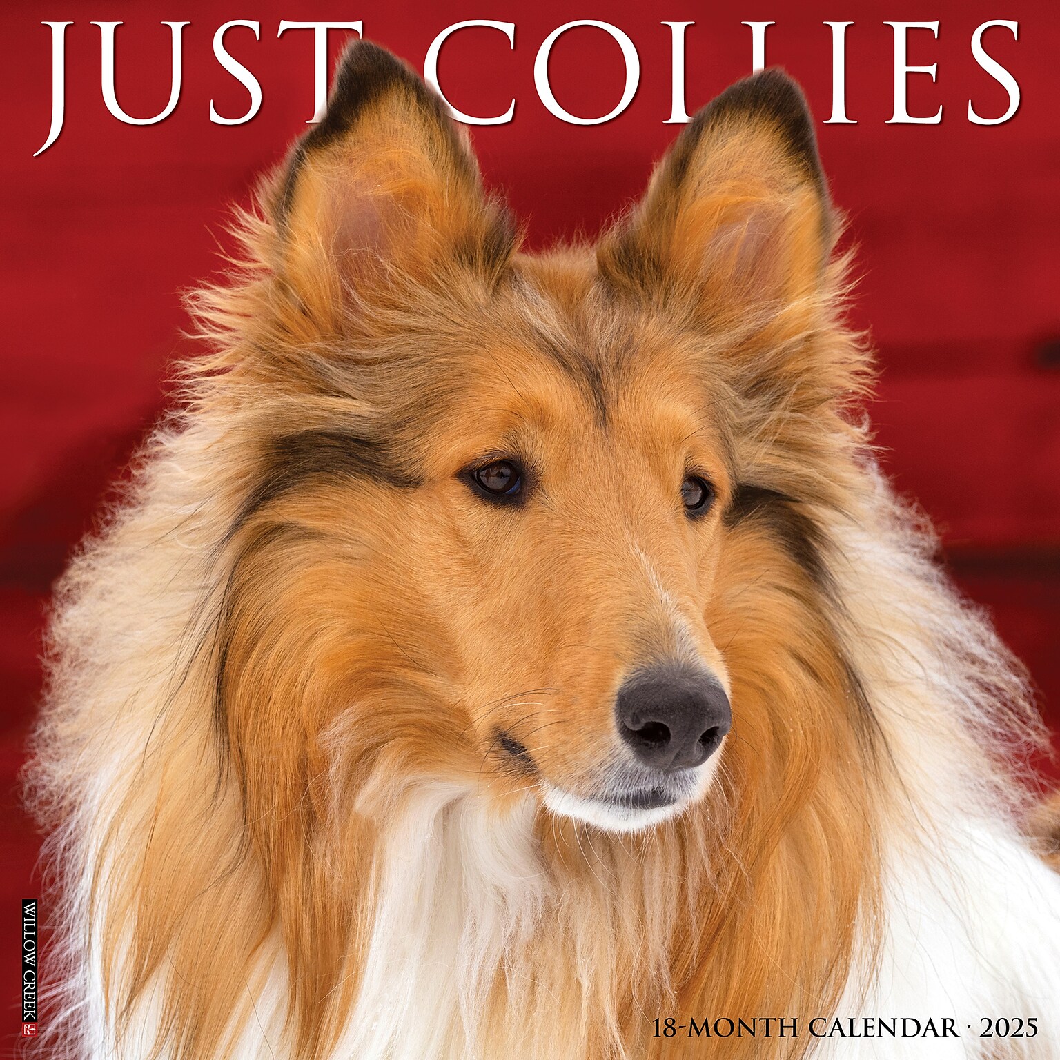 2025 Willow Creek Collies 12 x 12 Monthly Wall Calendar (42519)