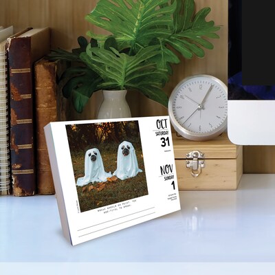 2026 Willow Creek Doug the Pug 6.2" x 5.4" Day-to-Day Calendar (54154)