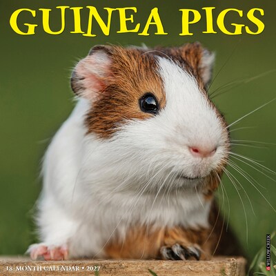 2027 Willow Creek Guinea Pigs 12 x 12 Monthly Wall Calendar (60582)