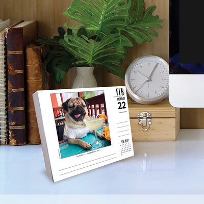 2027 Willow Creek Doug the Pug 5.4" x 6.2" Day-to-Day Calendar-USA (63446)