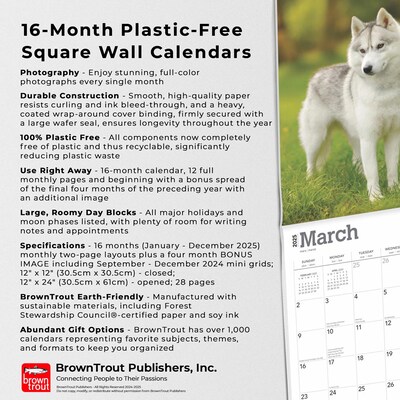 2025 BrownTrout Siberian Huskies 12" x 24" Monthly Square Wall Calendar (9781975477776)